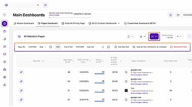 How to filter data in the Pages Dashboard