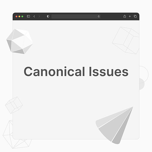 What are Canonical Issues? What are Canonical Issues?