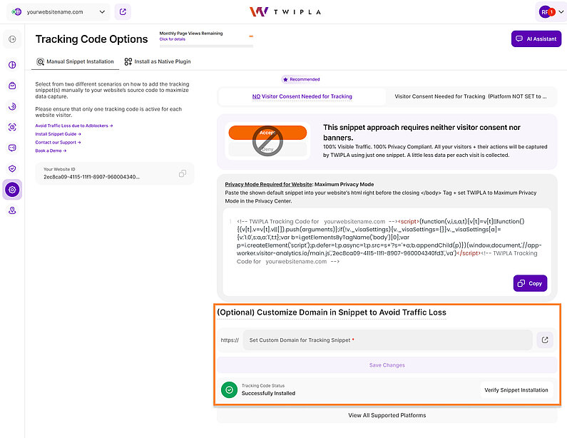 Custom Domain Tracking Setup